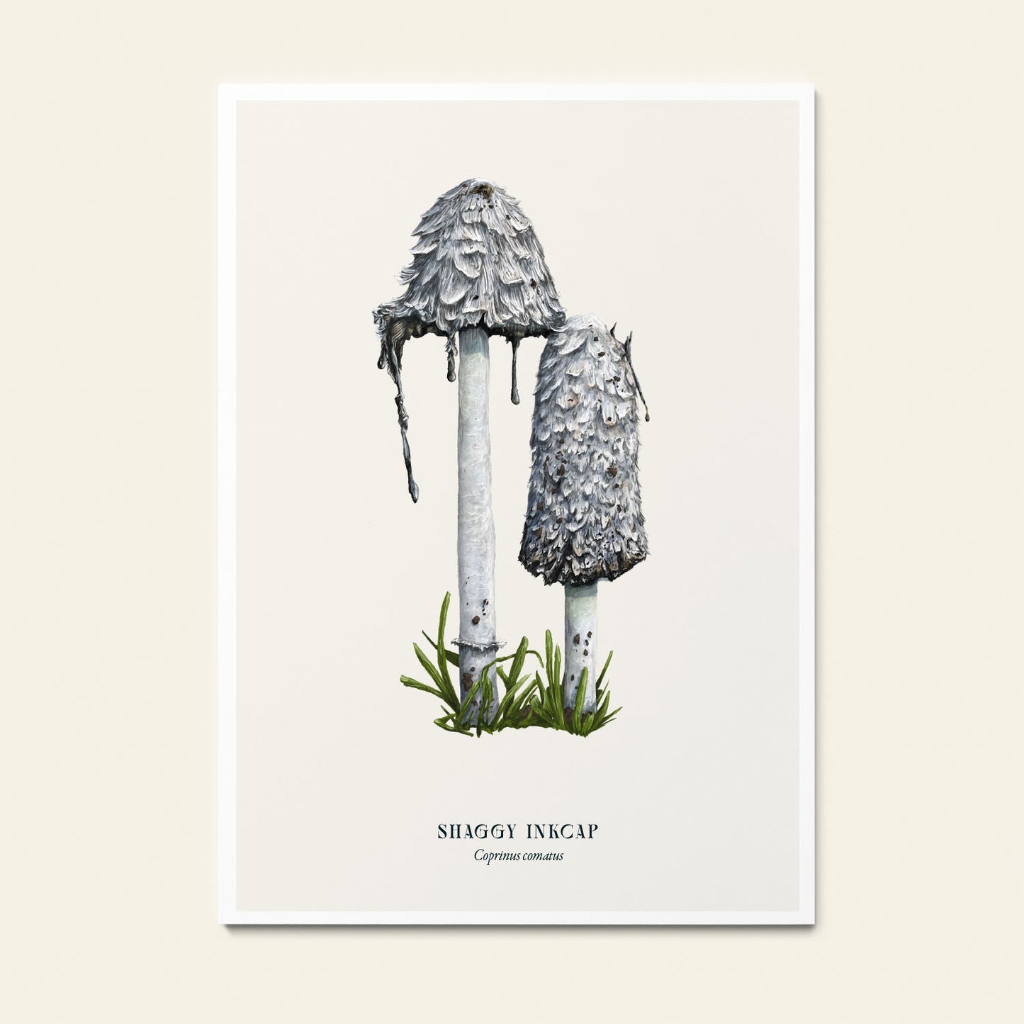 A5 Art Prints