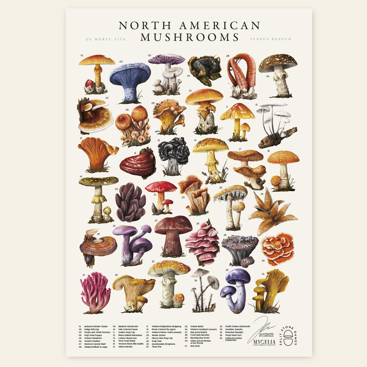A2 North American Art Print