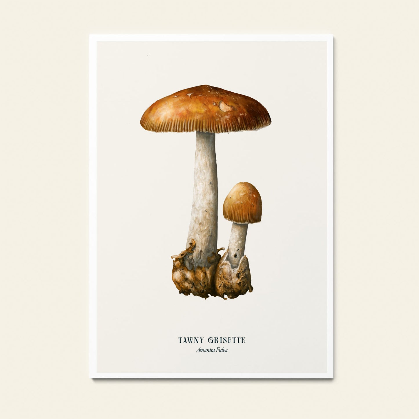 A4 Art Prints