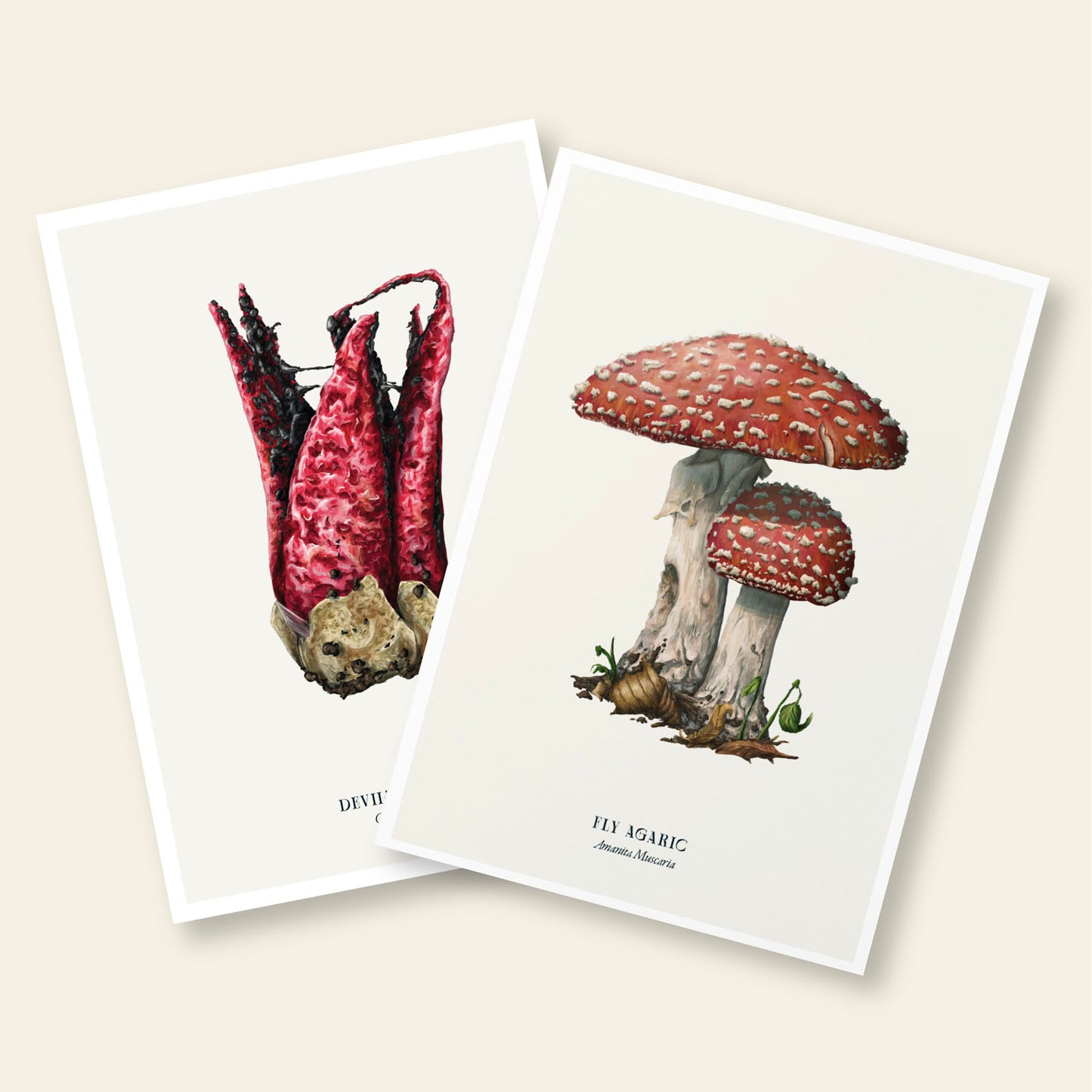 A4 Art Prints