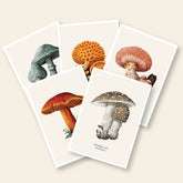 A5 Art Prints